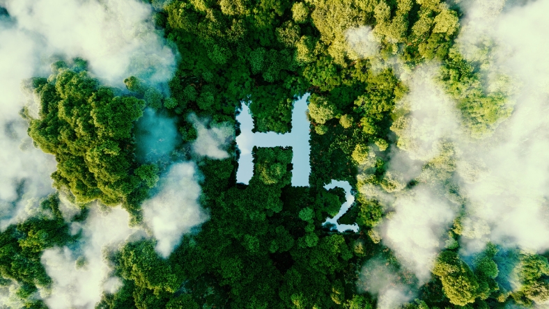 Idaho ignites hydrogen race with first of its kind ruling